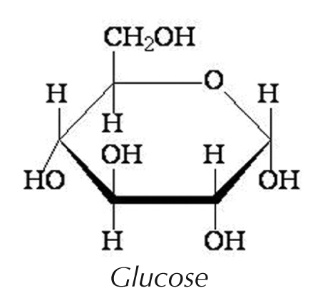 molecular structure fructose glucose vs But Anything  Natural Carbsâ€¦Itâ€™s Good Simple  Carbs..Bad