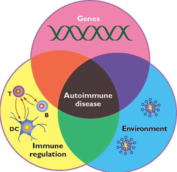 The Naturopathic Treatment of Autoimmune Diseases