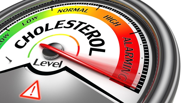 The Benefits of High Cholesterol