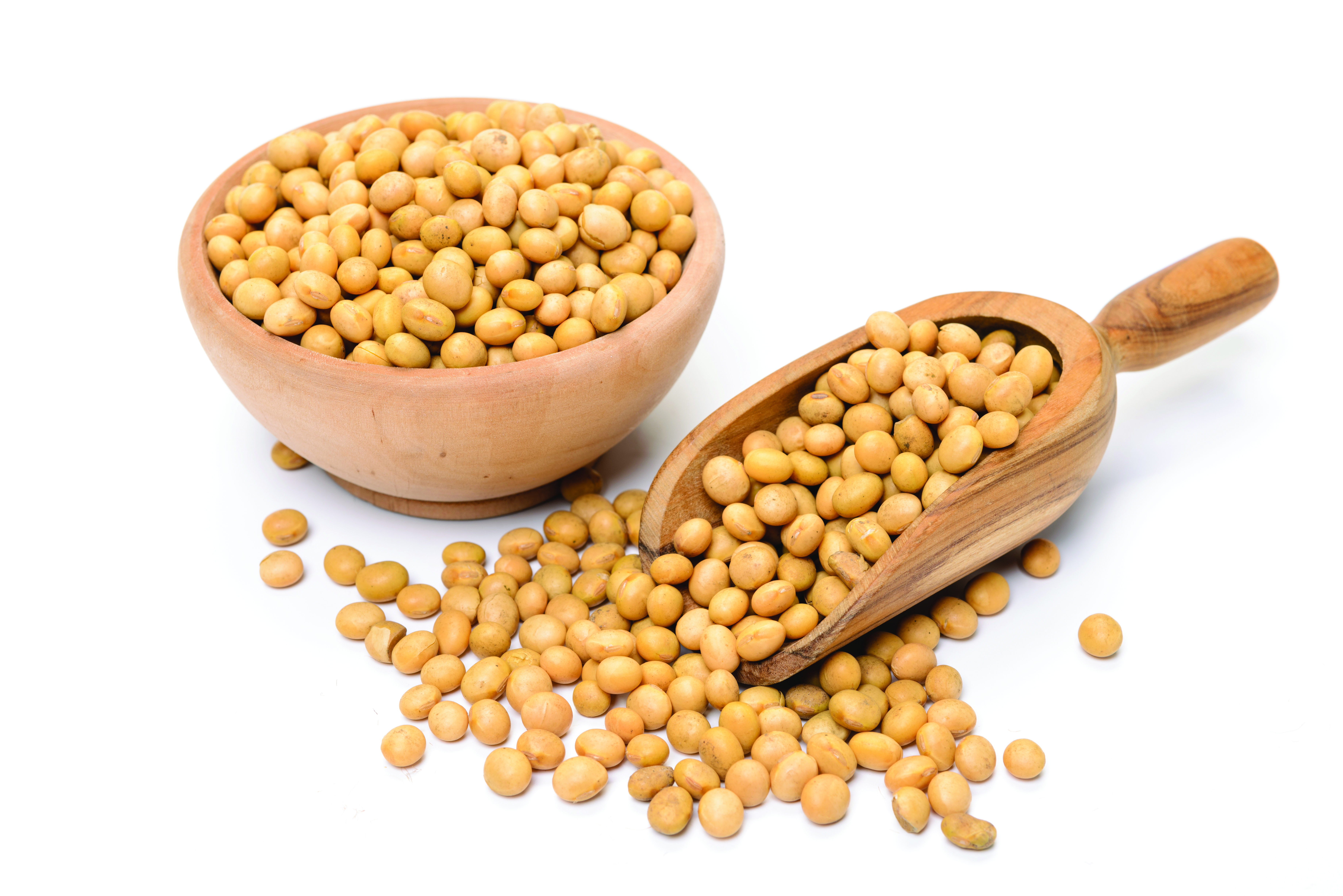 The Truth About Non-GMO Soy: A Nutritional Powerhouse