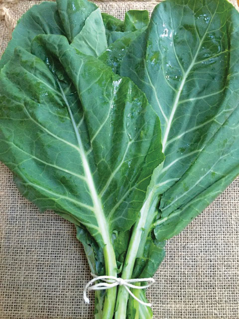 The Colorful Side of Collards