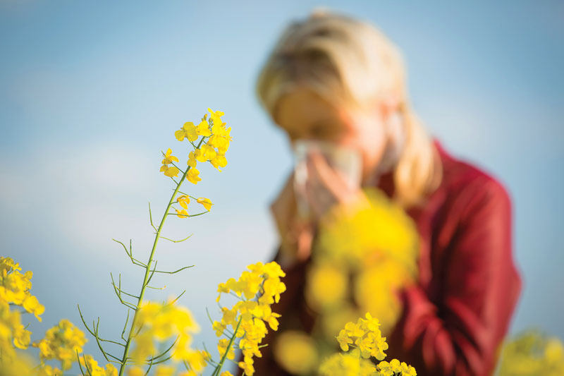 Seasonal Allergy Suffering is on the Rise