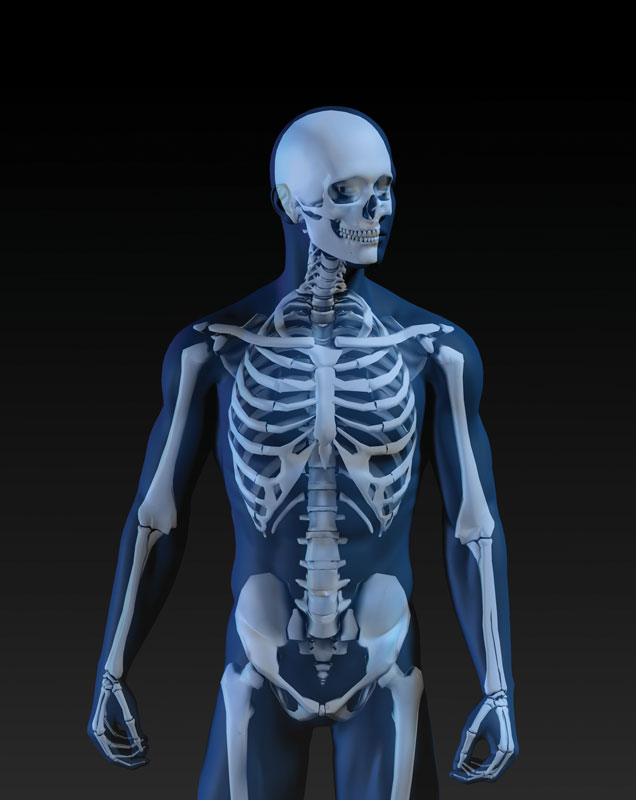 Keeping Your Bones Healthy for Life