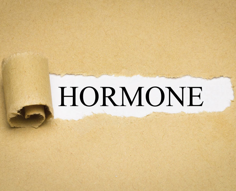 The In’s and Out’s of Hormone Replacement Therapy
