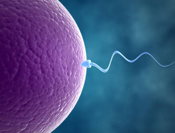 Is Hormone Imbalance Causing Infertility?