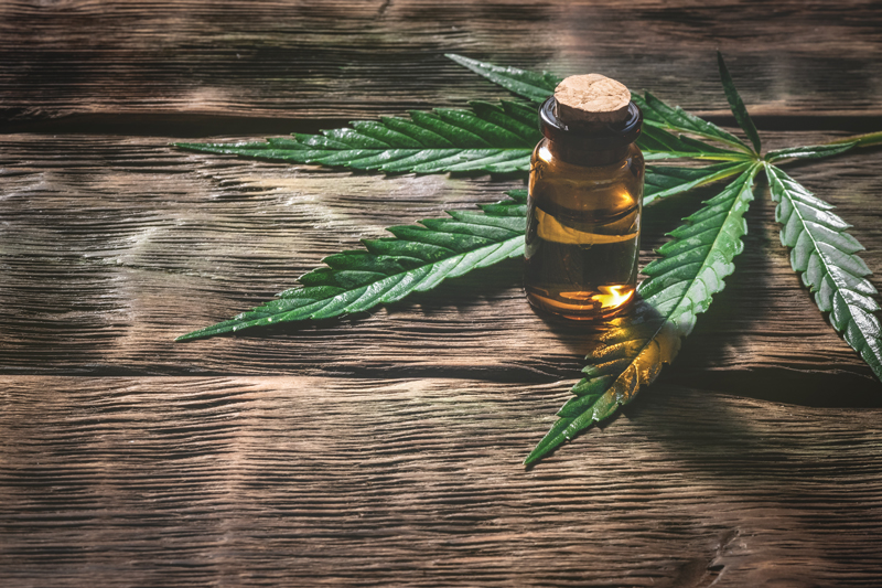 CBD Therapy: Just The Facts
