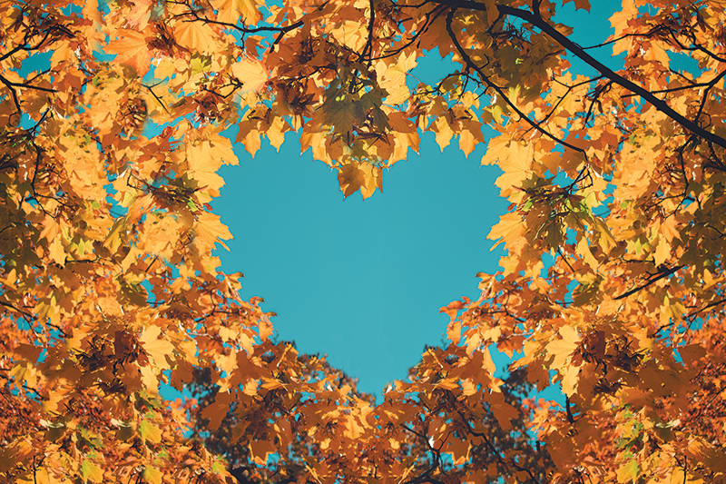 What the Autumn Equinox Teaches Us About Love