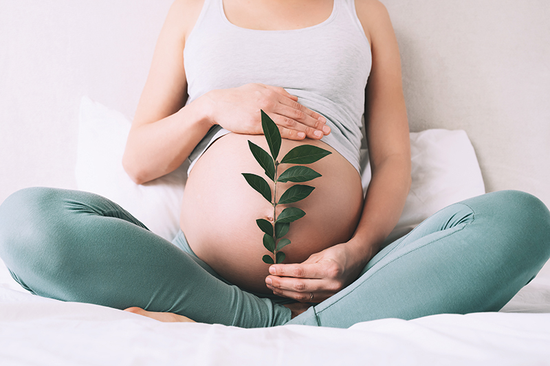 Improve Your Fertility by Detoxing Your Home