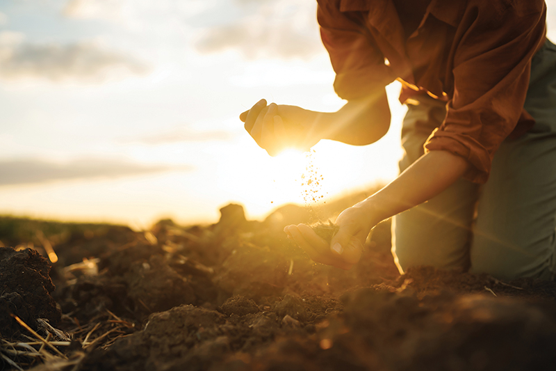 Blossom Where You’re Planted: Cultivating Abundance