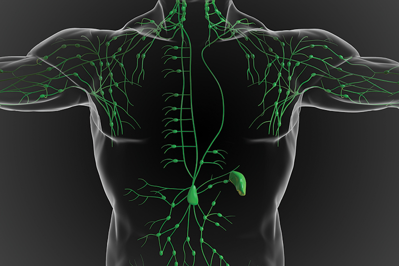 Bioelectric Lymphatic Drainage: Noninvasive Treatment for Better Health