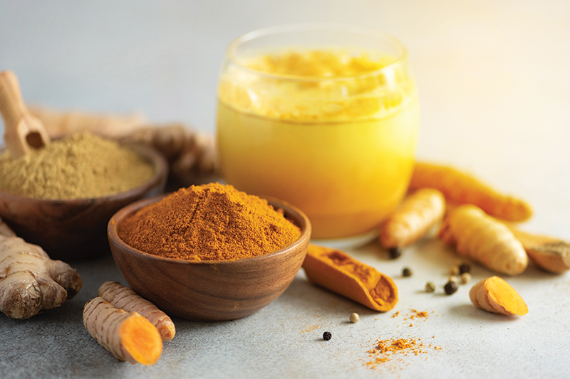Diet’s Role in the Treatment of Lyme Disease