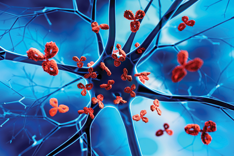 Unmasking Autoimmune Diseases: How Thermography Can Reveal Hidden Inflammation