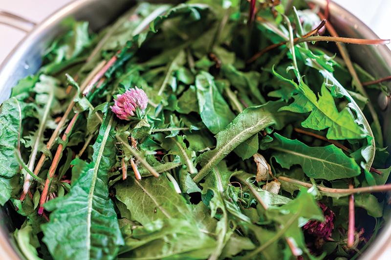 Weeds for Dinner? Foraging Is Your Friend!