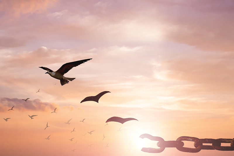Reclaiming Confidence Through Whole-Life Healing