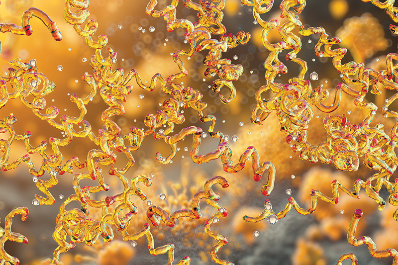 Autoimmune Encephalitis and Lyme Disease: An Overlooked Cause of Seizures