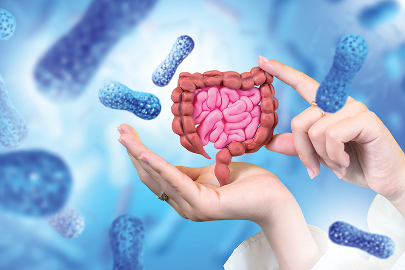 The Hidden Beginnings of Autoimmune Disease