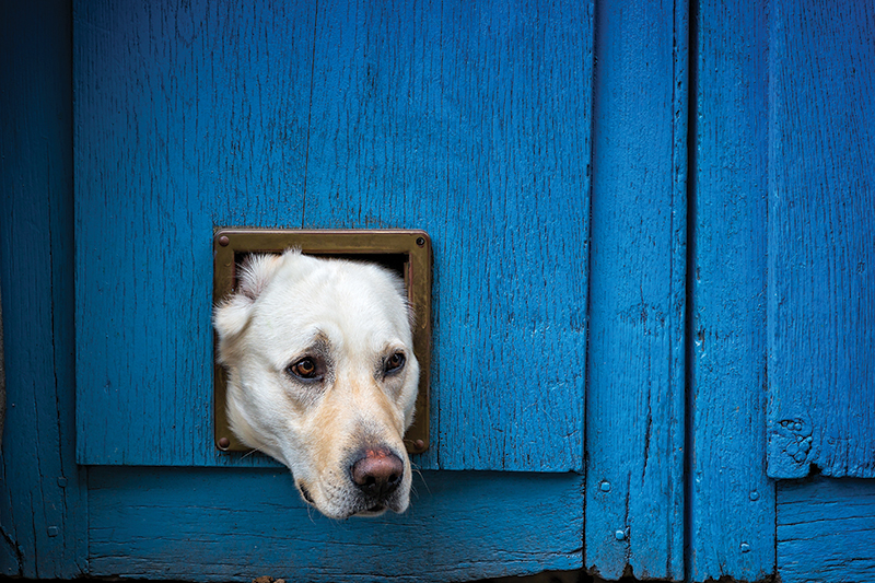 You’re Not Stuck – You’re Being Run by Patterns