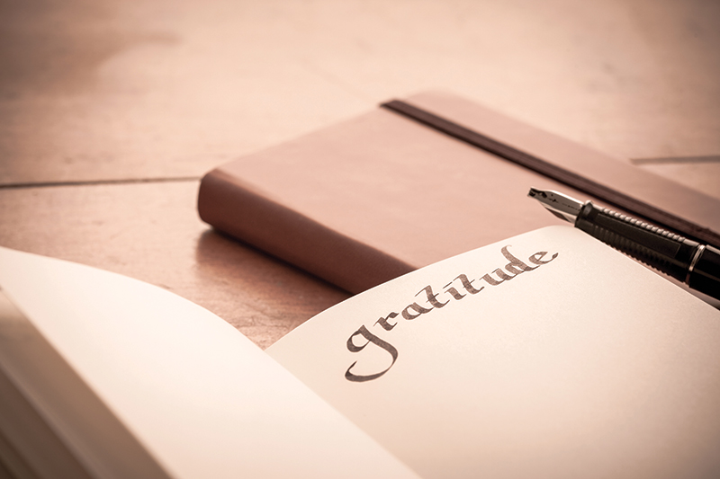 A Year of Gratitude: Honoring Community at The Mantra Room