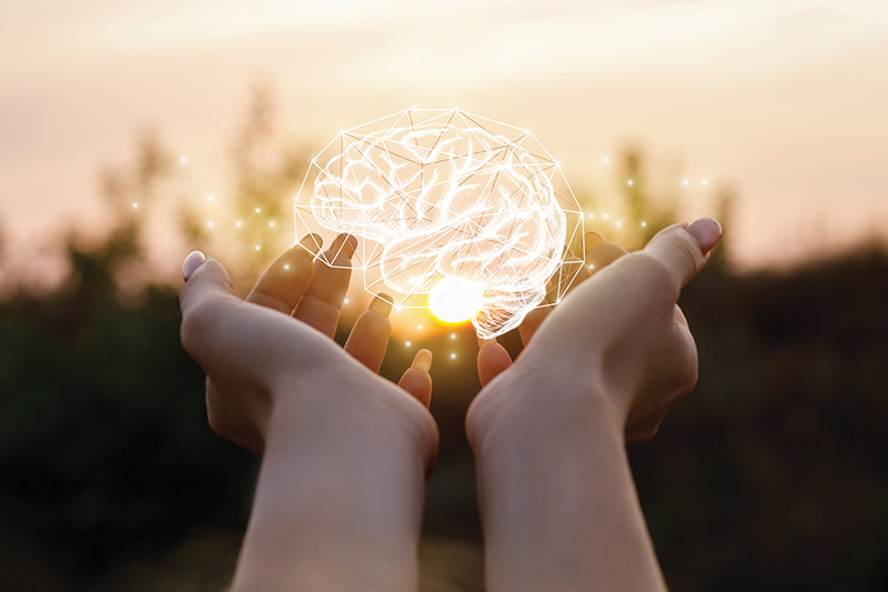 A Different Way to Understand Nervous System Regulation