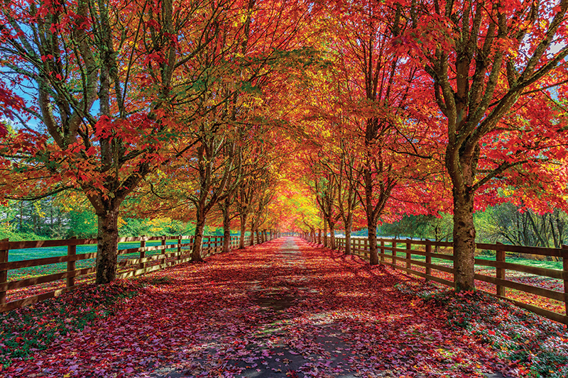 The Season of Less