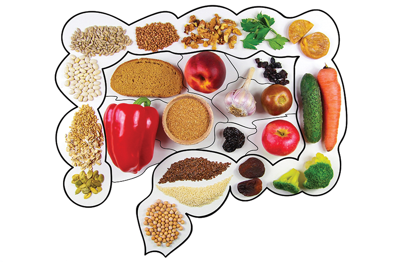 Beyond Antioxidants: How Polyphenols Connect the Gut, Brain, and Healthy Aging Beyond Antioxidants: How Polyphenols Connect the Gut, Brain, and Healthy Aging