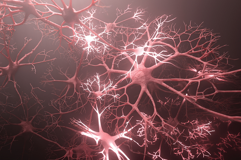 Beyond The Test Results: Listening to the Nervous System Beyond The Test Results: Listening to the Nervous System